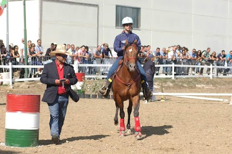 Longobardi Horses team