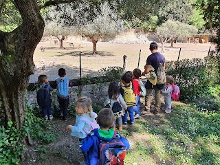 Forest School