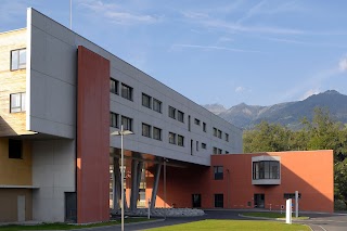 Hospitals Country Du Mont-Blanc