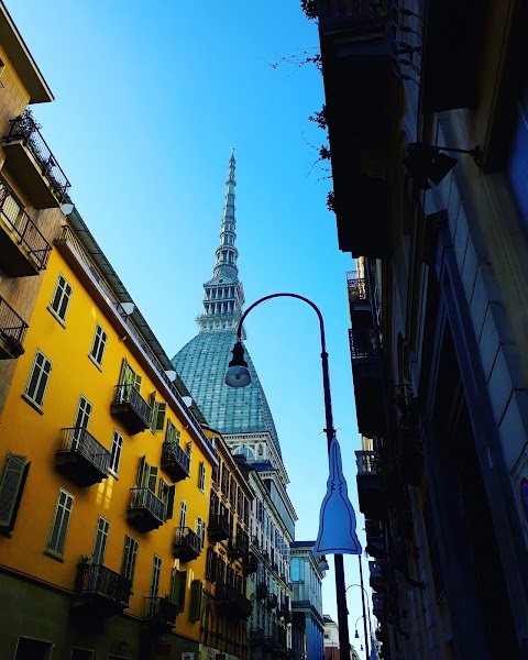 Torino con la Guida - Visite Guidate a Torino e Piemonte