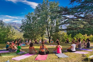 YogaPlanet Formazione Insegnanti Yoga