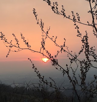 Parco delle Colline