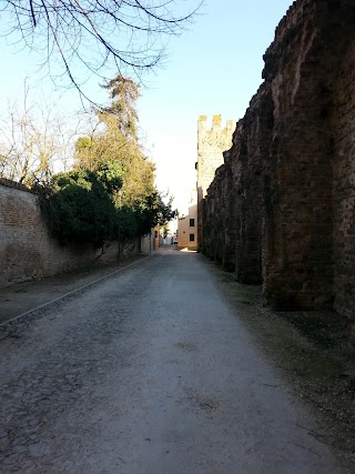 TAXI NCC MONTAGNANA