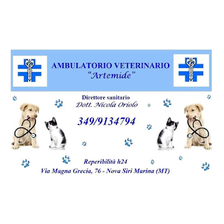 Ambulatorio Veterinario Artemide