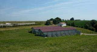 La Tenuta Del Barone