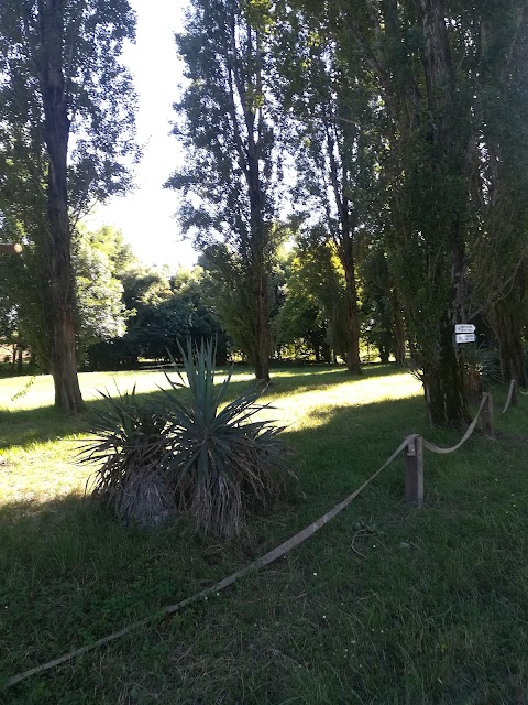 Guado di San Colombano e di Sigerico - Taxi fluviale sul Po per i pellegrini