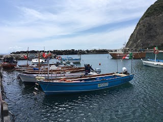 Barcaioli - TaxiBoat Sant’Angelo