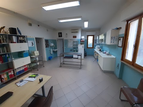 Ambulatorio Veterinario Braccini Dr. Nico