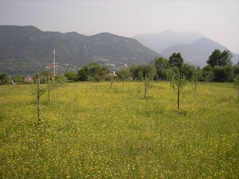 Agriturismo La Scala