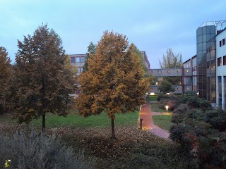 Università Degli Studi Di Verona - Dipartimento Di Cultura e Civiltà