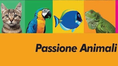 Petzon Napoli - Ingrosso e dettaglio prodotti per animali