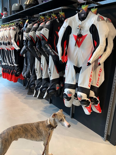 Dainese Bologna