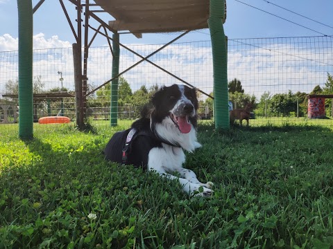 Bark Dog VIllage