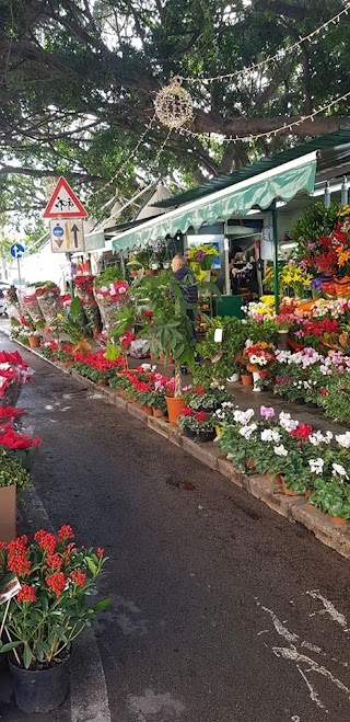 Il Giardino Dei Fiori