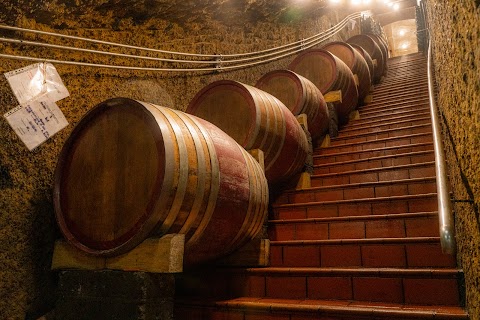 Enoteca Il Vino di Menale Carlo