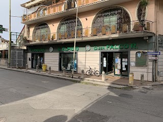 Farmacia Sant'Elpidio - Dottoressa Rosaria Falco