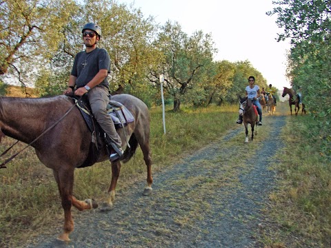 Maneggio RidingTuscany