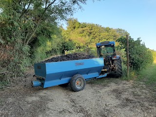 VINI SINIGAGLIA - SOC.AGR.SINIGAGLIA LUIGI E DAVIDE S.S.