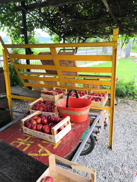 Frutta e verdura di stagione