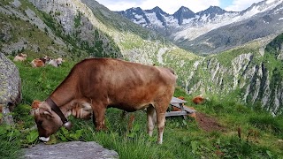 Rifugio Franco Tonolini