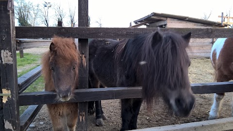 PARCO ADDA CAVALLO ASD