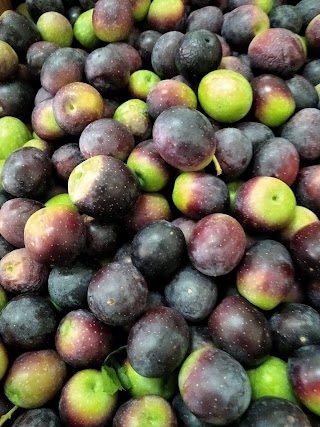 Le Origini Di Agostinacchio Frutta E Verdura