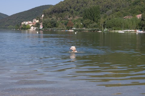 da0a4zampe Toeletta Acquari Negozio di Animali Roma