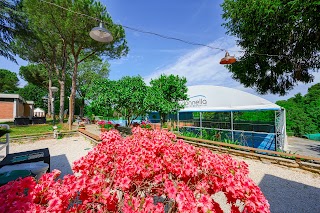 Centro Sportivo Comunale La Madonnella