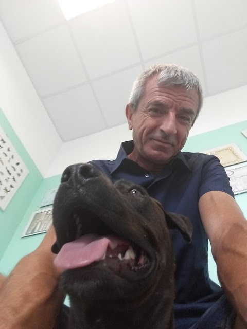 Ambulatorio Veterinario La Trinità Dott.ri Vigiani - Galeno