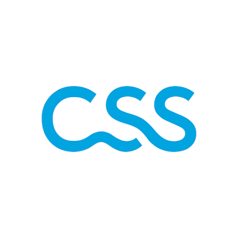 CSS Agence Lancy