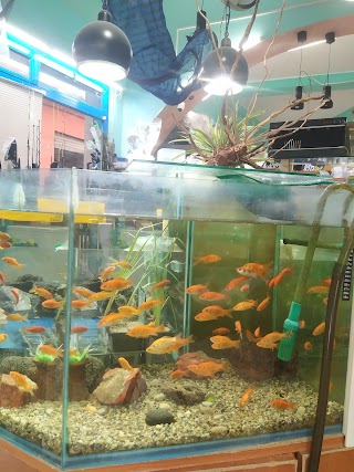 Aquarium