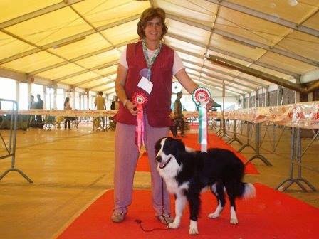 Clinica Veterinaria Della Tuscia