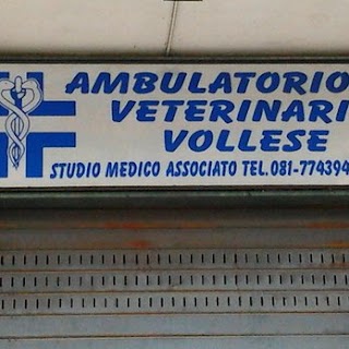 Ambulatorio Veterinario Vollese