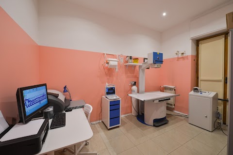 Vetcompanion Veterinario Torino