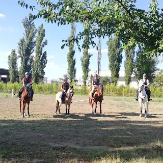 Centro Turismo Equestre Roversella