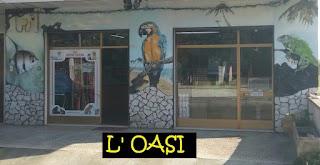 L' OASI