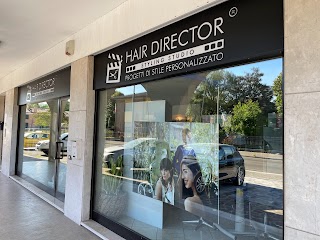 HAIR DIRECTOR