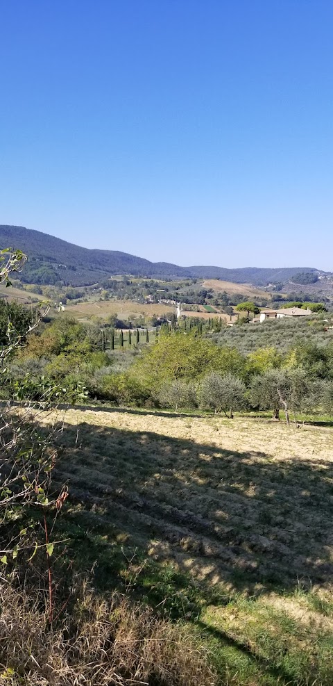 Galadriel snc - di Bartalini Silvia e Manzi Margherita