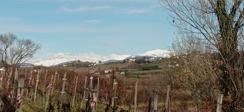 Sentiero delle Vigne Alte