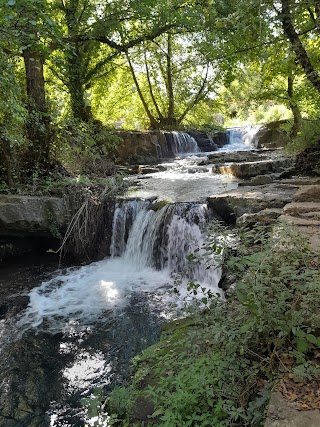 Parco Valle del Treja