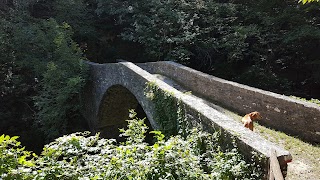 Ponte del Gorgolaio