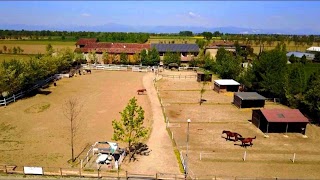Maneggio San Michele -scuola equitazione-passeggiate a cavallo-cross country campioni italiani 2017