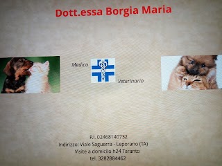 Ambulatorio Veterinario Dott.ssa Borgia Maria