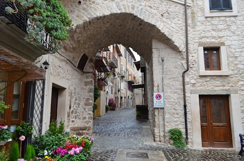 Piante e fiori perfetta letizia