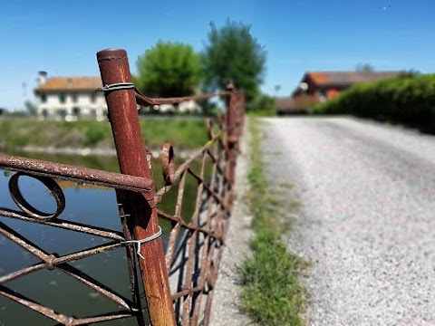 Tenuta Ca'Negra