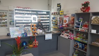 IQOS RESELLER - Tabaccheria Martinelli, Carpi