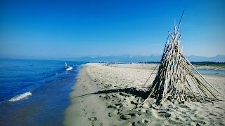 Parco Regionale Migliarino, San Rossore, Massaciuccoli