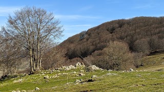 Lago Cartolari