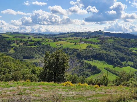 Il Melograno di Matilde