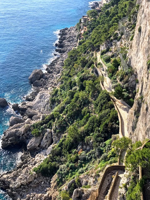 L'uomo E Il Mare S.r.l. Escursioni in barca Positano e Costiera Amalfitana